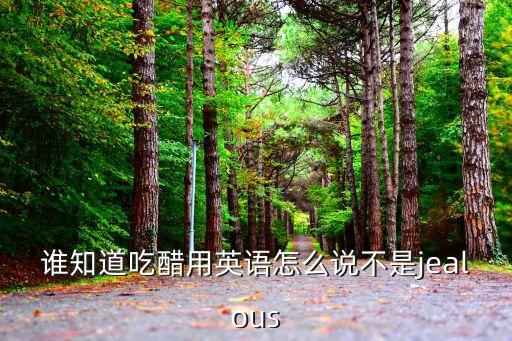 醋的英文,吃醋用英文怎么說?