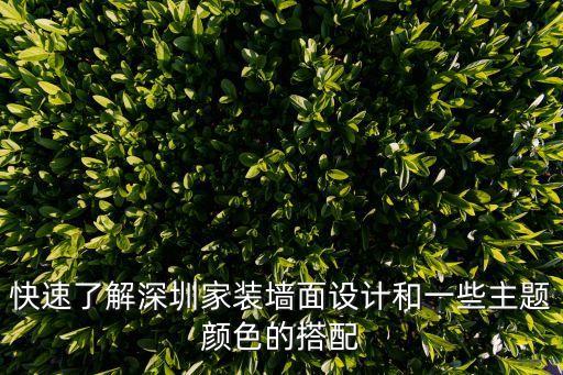 深圳現(xiàn)在裝修風(fēng)格很，深圳裝修墻面有哪幾種要點(diǎn)是什么