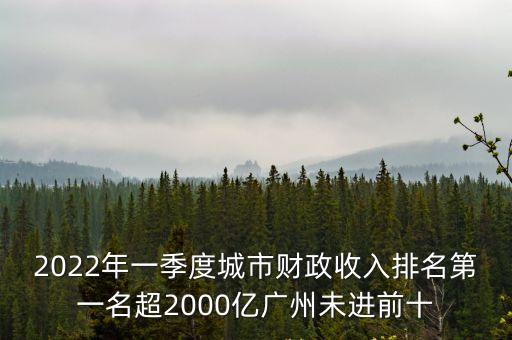 深圳一年的財(cái)政收入多少，深圳年財(cái)政收入多少億