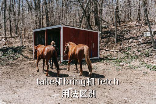 fetch用法,教你如何用數(shù)碼設(shè)備打造精美文件