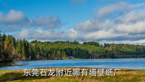 東莞中聯偉業紙業有限公司，東莞石龍附近哪有墻壁紙廠