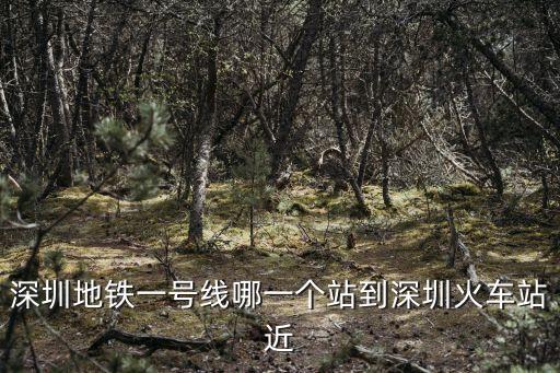 深圳地鐵一號線哪一個站到深圳火車站近