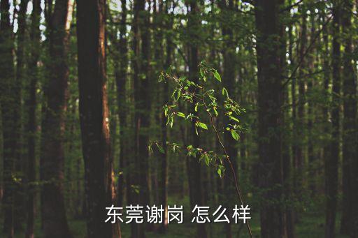 東莞謝崗 怎么樣