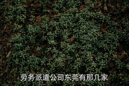 勞務派遣公司東莞有那幾家