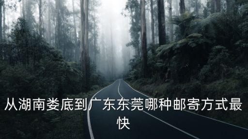 從湖南婁底到廣東東莞哪種郵寄方式最快