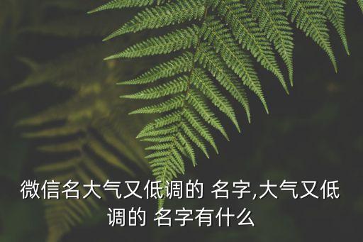 微信名大氣又低調(diào)的 名字,大氣又低調(diào)的 名字有什么