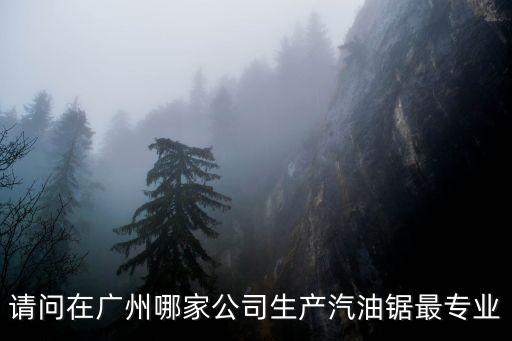 請問在廣州哪家公司生產汽油鋸最專業