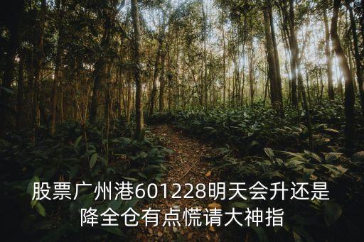 股票廣州港601228明天會升還是降全倉有點慌請大神指