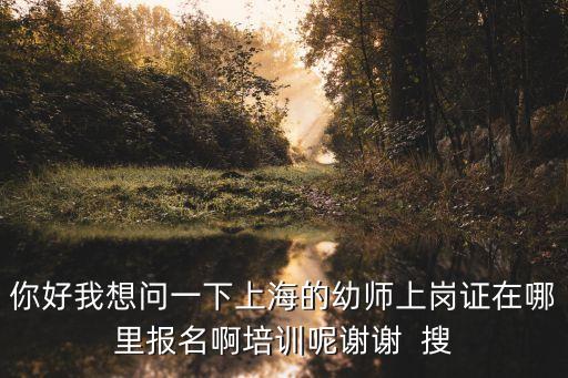 你好我想問一下上海的幼師上崗證在哪里報名啊培訓呢謝謝  搜