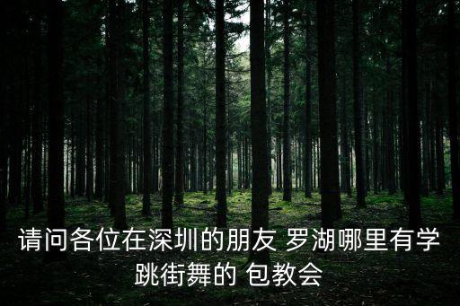 深圳羅湖街舞，深圳羅湖區有沒有教街舞的最好是價格不貴的