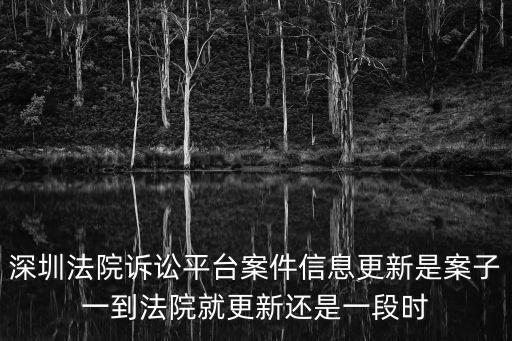 深圳法院訴訟平臺案件信息更新是案子一到法院就更新還是一段時