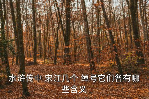 水滸傳中 宋江幾個 綽號它們各有哪些含義