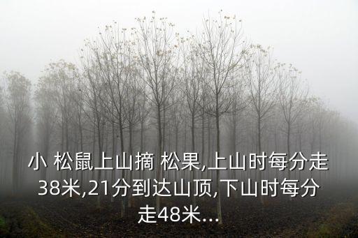 小松鼠摘松果,小松鼠摘松果白鴿阿姨驚喜看見(jiàn)