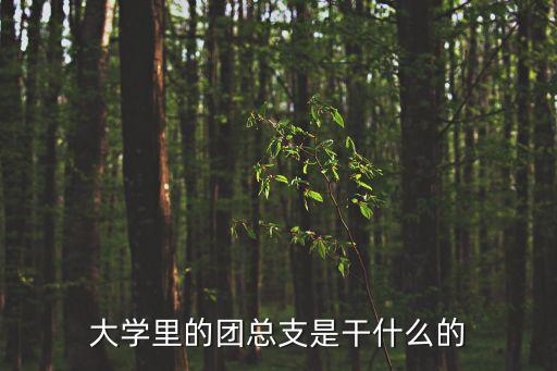 大學里的團總支是干什么的