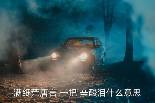 一把辛酸淚,荒唐言，一把辛酸淚全詩:荒唐又辛酸