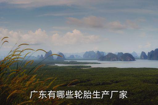 廣東有哪些輪胎生產(chǎn)廠家