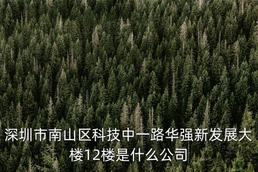 深圳市南山區科技中一路華強新發展大樓12樓是什么公司