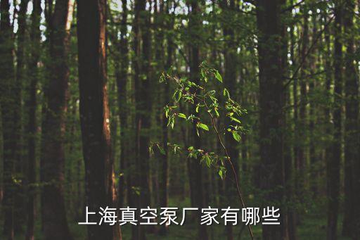 上海真空泵廠家有哪些