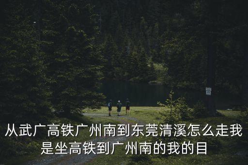從武廣高鐵廣州南到東莞清溪怎么走我是坐高鐵到廣州南的我的目