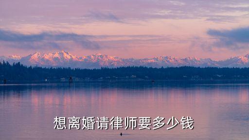 想離婚請律師要多少錢
