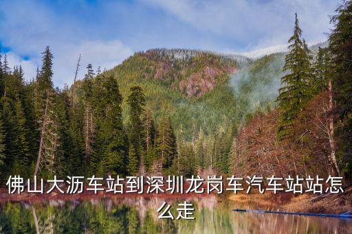 佛山大瀝車站到深圳龍崗車汽車站站怎么走