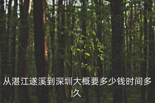 從湛江遂溪到深圳大概要多少錢時間多久
