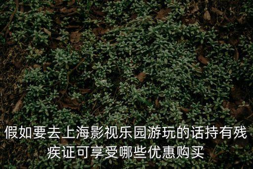 上海市離休干部O曉烽，殘疾軍人證保護套在哪能買到