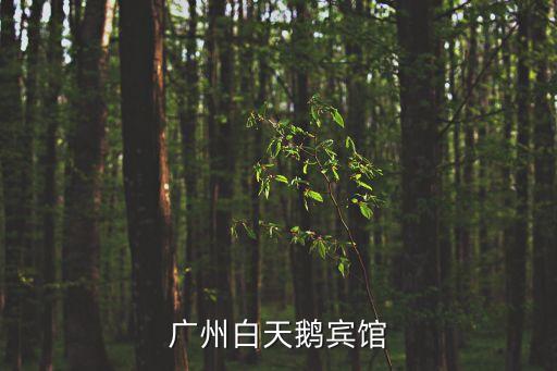 廣州白天鵝賓館
