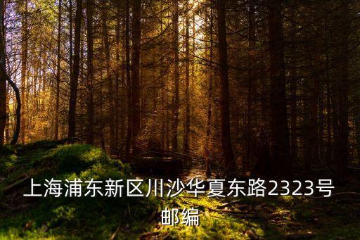 上海市華夏東路郵政編碼，上海浦東新區川沙華夏東路2323號郵編