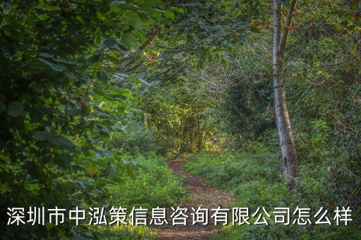 深圳市中泓策信息咨詢有限公司怎么樣