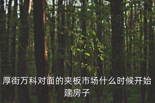 厚街萬科對面的夾板市場什么時候開始建房子