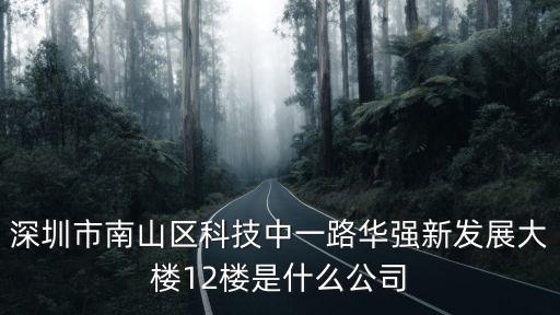 深圳市南山區(qū)科技中一路華強(qiáng)新發(fā)展大樓12樓是什么公司