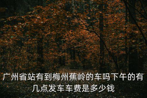 廣州省站有到梅州蕉嶺的車嗎下午的有幾點(diǎn)發(fā)車車費(fèi)是多少錢