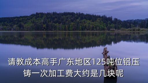 請教成本高手廣東地區125噸位鋁壓鑄一次加工費大約是幾塊呢