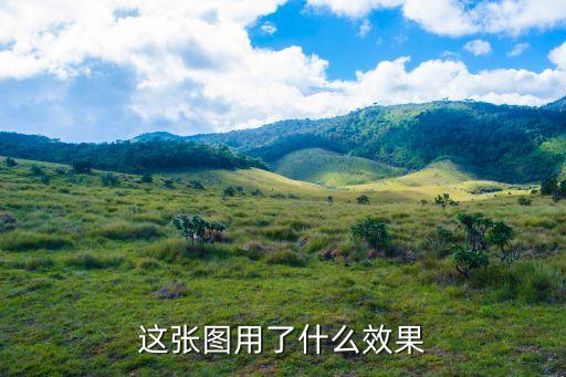 這張圖用了什么效果