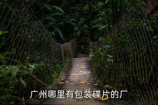 廣州哪里有包裝碟片的廠
