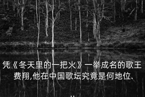 費翔的個人資料,費翔的人生軌跡