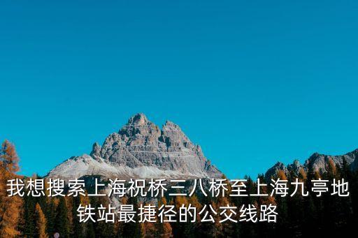 上海市祝橋鎮(zhèn)三八村，我想搜索上海祝橋三八橋至上海九亭地鐵站最捷徑的公交線路