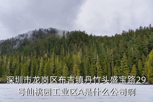 深圳市龍崗區布吉鎮丹竹頭盛寶路29號仙桃園工業區A是什么公司啊