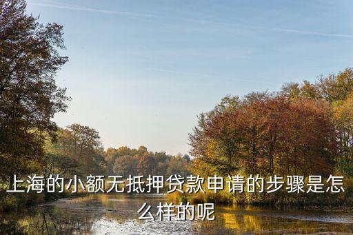 上海市平安惠普小額貸款流程，平安惠普貸款流程是怎么樣的