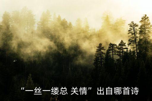 關情,關于總關情你了解多少?