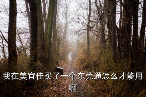 我在美宜佳買了一個東莞通怎么才能用啊