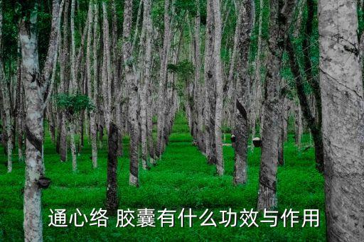 通心絡膠囊說明書,腦心通膠囊說明書