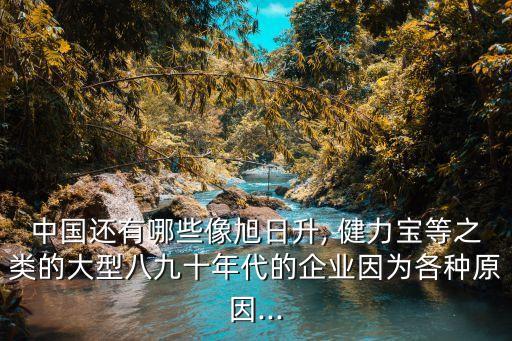 健力寶代理,健力寶飲料代理人如何區分彼此代理權