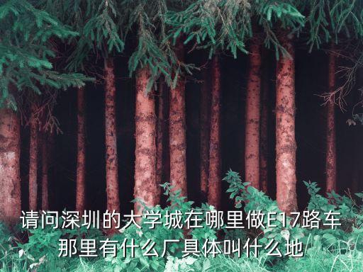 請問深圳的大學城在哪里做E17路車那里有什么廠具體叫什么地