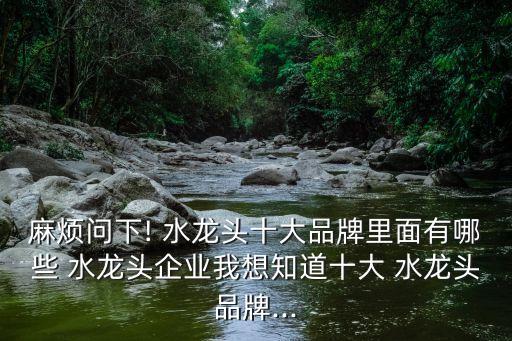 麻煩問下! 水龍頭十大品牌里面有哪些 水龍頭企業(yè)我想知道十大 水龍頭品牌...