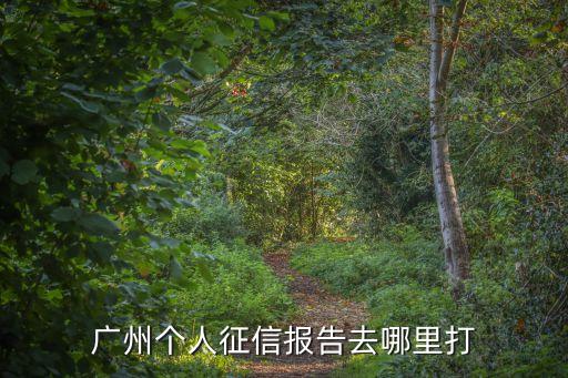 廣州個人征信查詢點，廣州去哪里查個人征信求地址