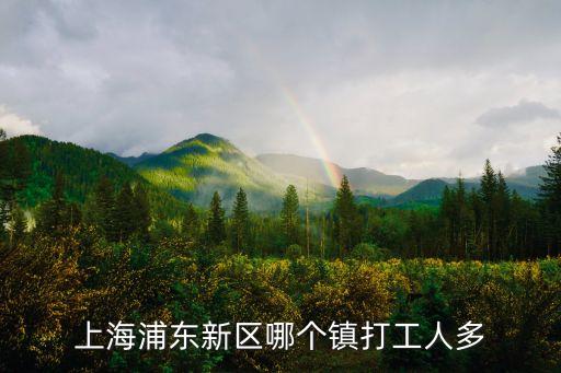 上海市哪里最多人打工，上海哪個地方外來打工的多呢