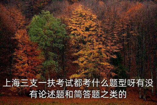 上海三支一扶考試都考什么題型呀有沒有論述題和簡答題之類的