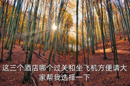 這三個酒店哪個過關(guān)和坐飛機方便請大家?guī)臀疫x擇一下